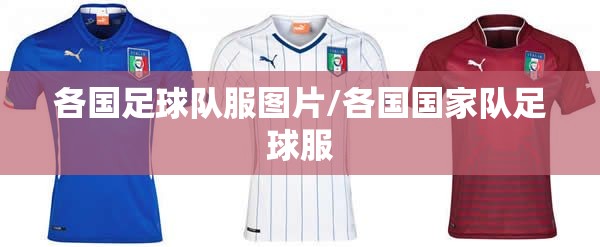 沁阳市属于哪个市,沁阳市在哪个省?