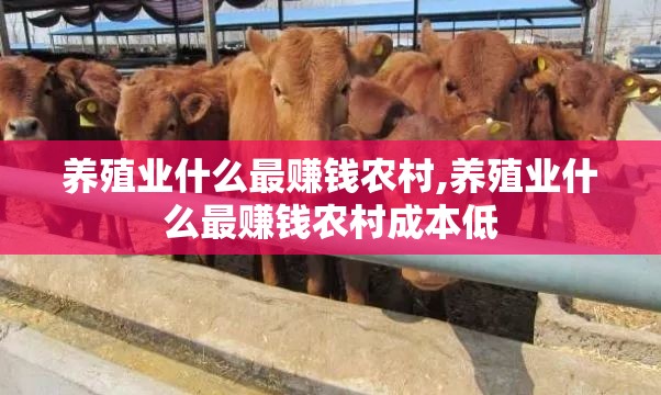 10万左右油电混合动力车推荐。