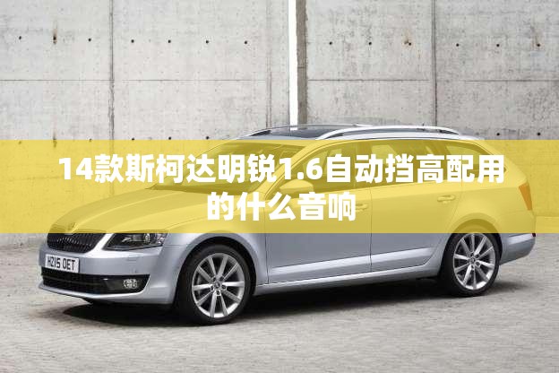 14款斯柯达明锐1.6自动挡高配用的什么音响