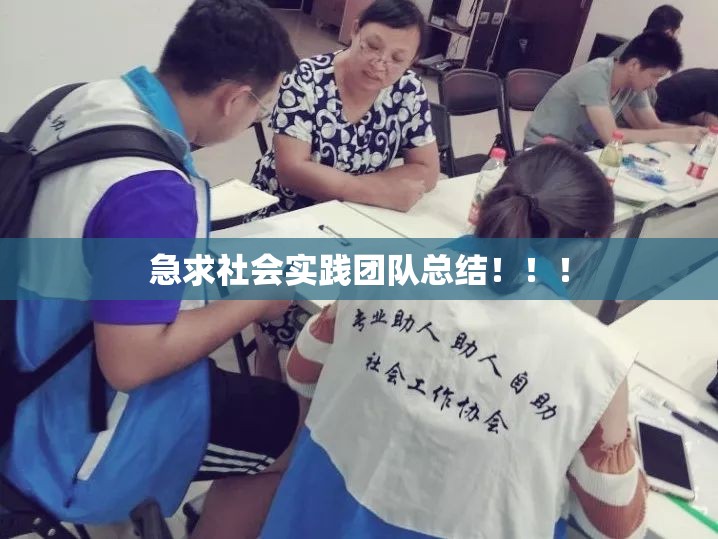 急求社会实践团队总结！！！