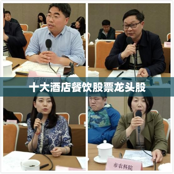 阿尔法卡尔曼是哪国汽车品牌