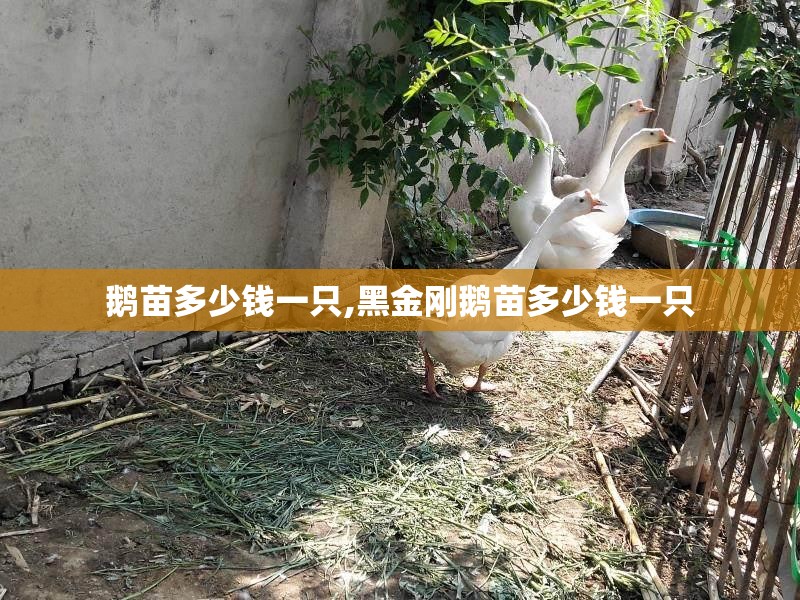 合肥市供电局的电话是多少？