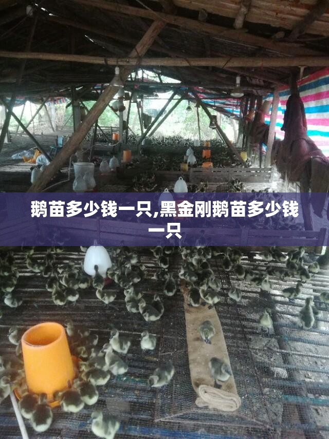 手动刮胡刀品牌十大排名