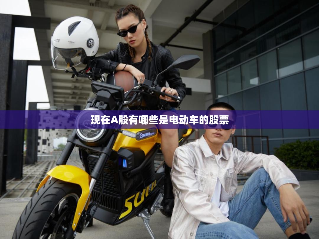 现在A股有哪些是电动车的股票