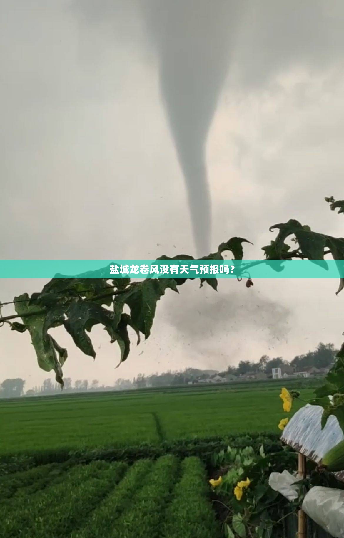 盐城龙卷风没有天气预报吗？