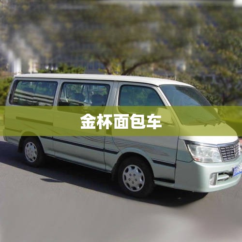 森雅m80怎么样、价格如何