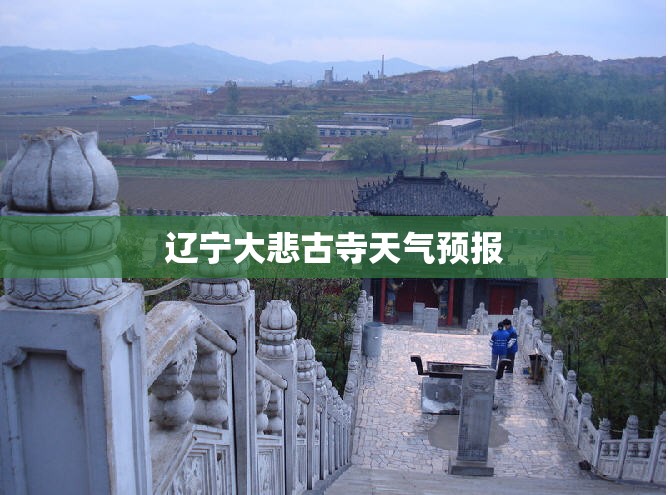起亚皮卡/起亚皮卡汽车