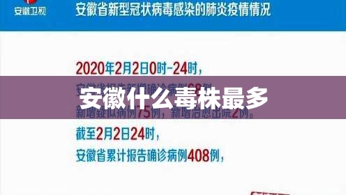 最新台风官方网站（最新台风报告）