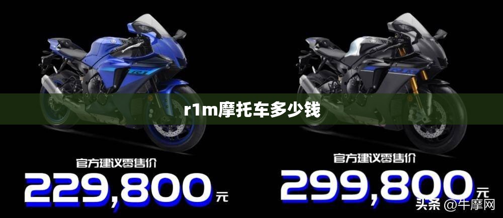 r1m摩托车多少钱