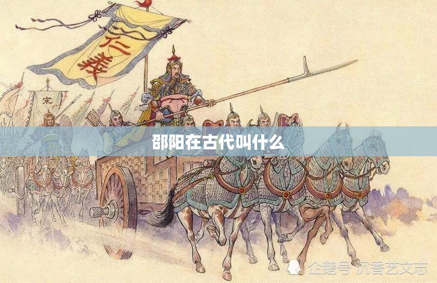 本田轿跑系列/本田轿跑是哪款