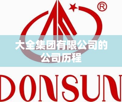 大全集团有限公司的公司历程