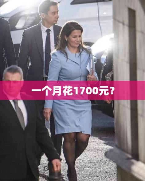 一个月花1700元？