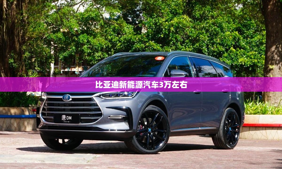 比亚迪新能源汽车3万左右