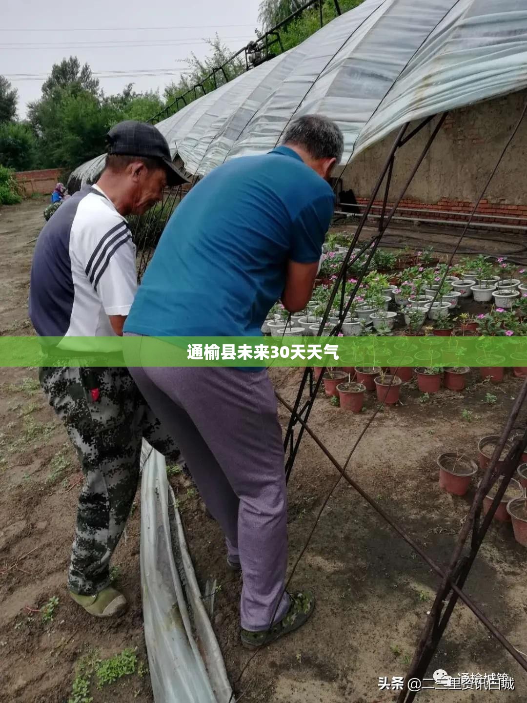 通榆县未来30天天气