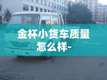 金杯小货车质量怎么样-