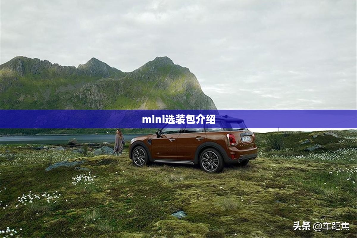mini选装包介绍