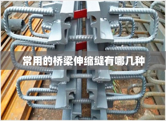 300018中元股份/中元股份股