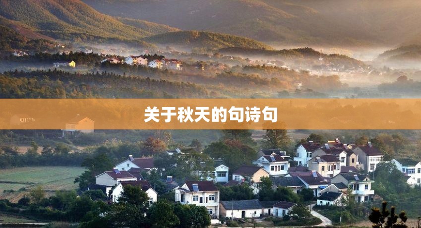300018中元股份/中元股份股