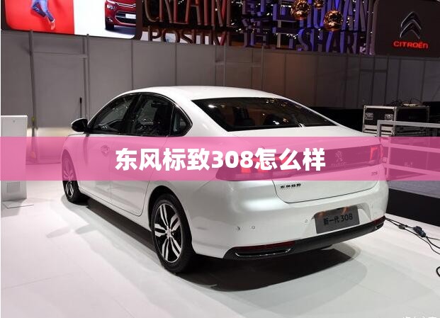 【长城好猫新能源车型及费用,长城汽车好猫多少钱】