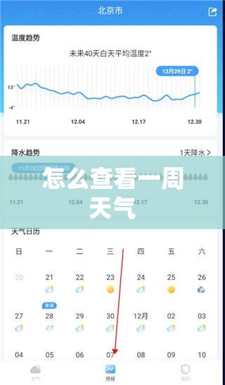 怎么查看一周天气