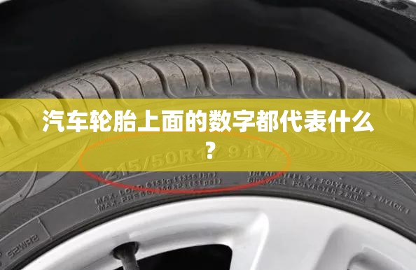 汽车轮胎上面的数字都代表什么？