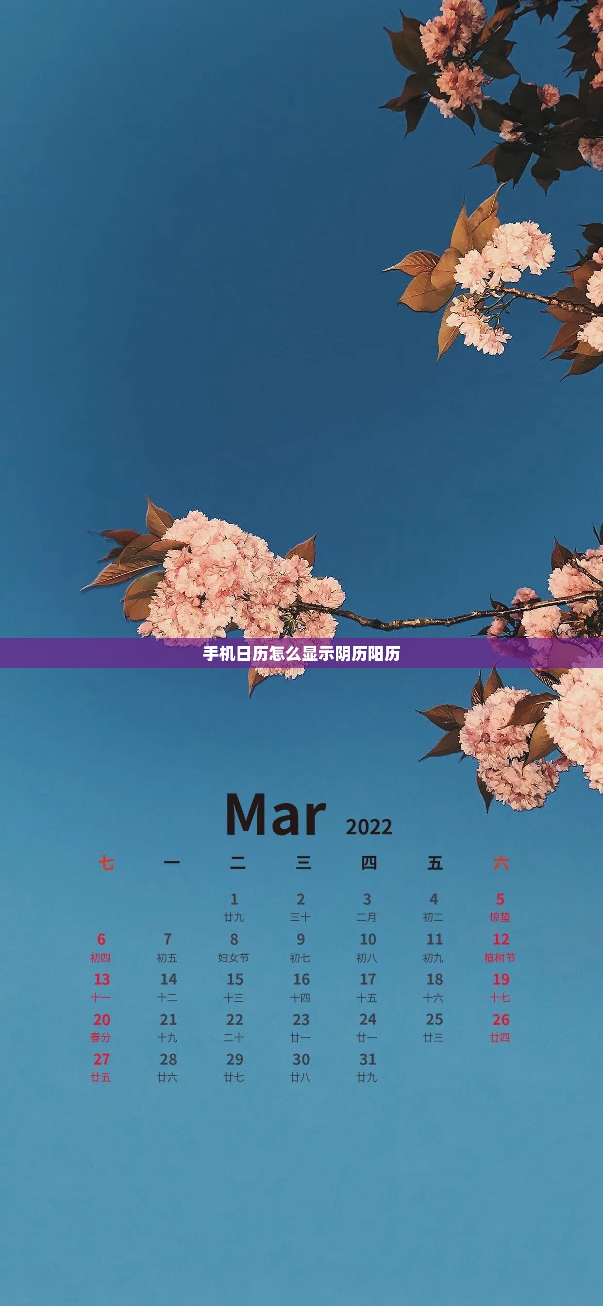 手机日历怎么显示阴历阳历