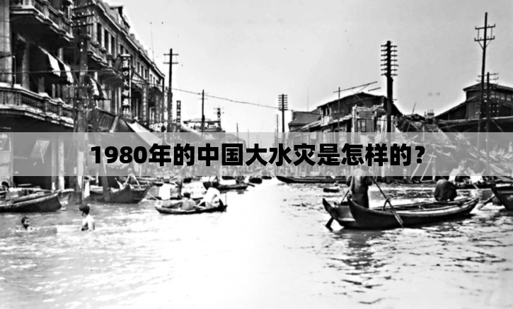 永泰能源股票历史交易数据/永泰股份历史交易数据