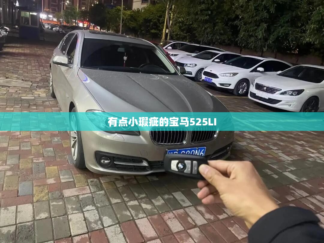 长安cs55费用及图片大全（长安cs55汽车费用新款）