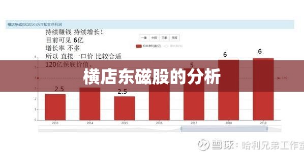 横店东磁股的分析