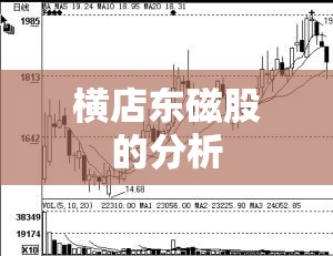 横店东磁股的分析