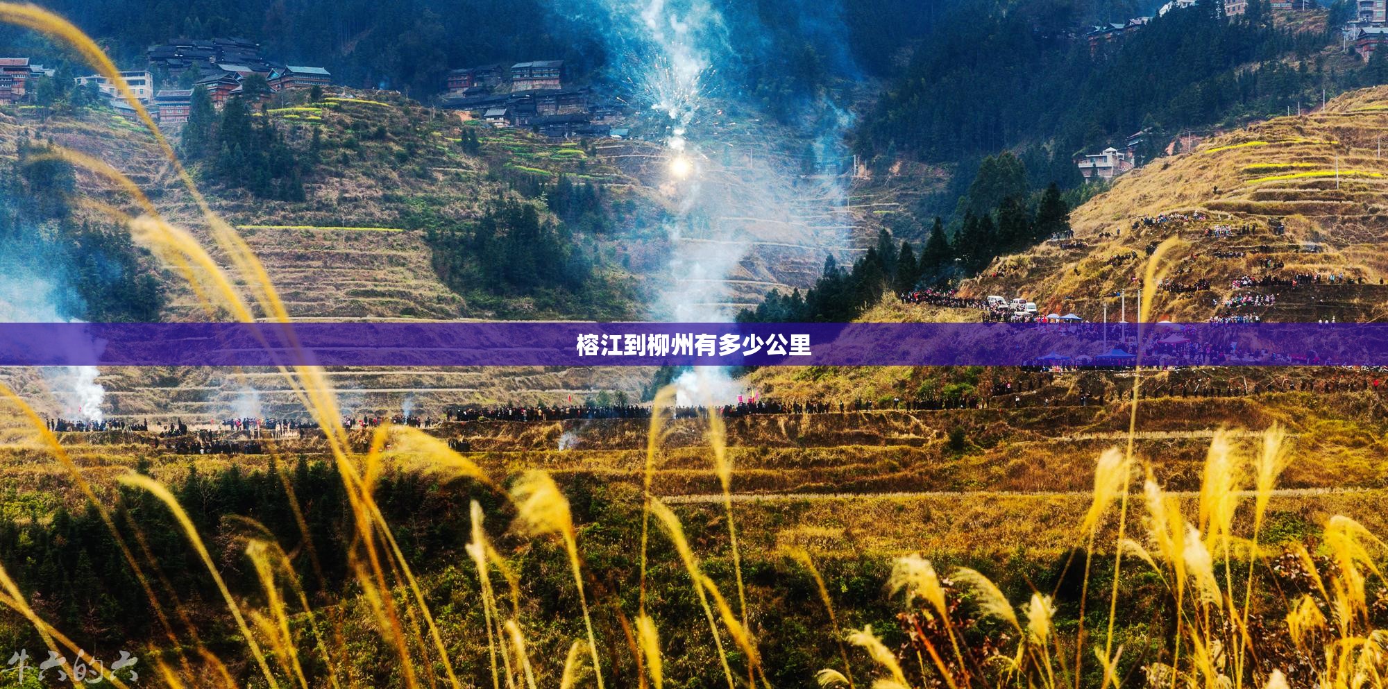 榕江到柳州有多少公里
