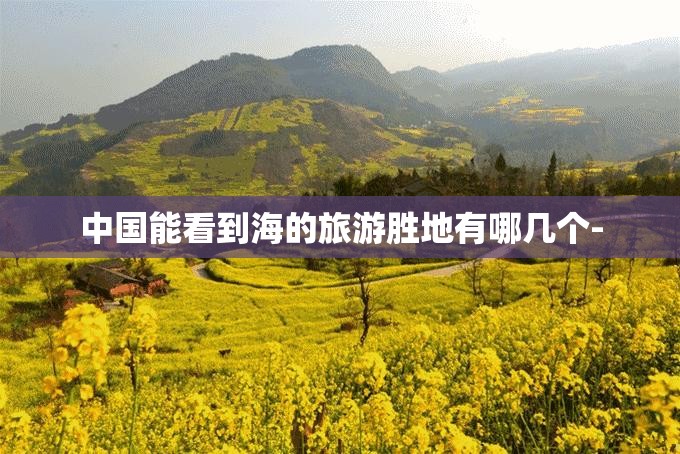 一台车能有多智能？