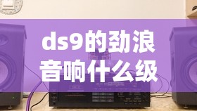 ds9的劲浪音响什么级别 ds9的劲浪音响什么级别