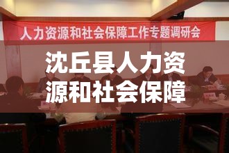 沈丘县人力资源和社会保障局的电话是多少