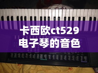 卡西欧ct529电子琴的音色和节奏的中文表