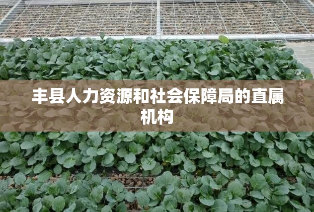 天津30天天气预报最新消息/天津30天天气预报最新消息视频