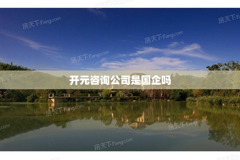 开元咨询公司是国企吗