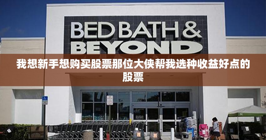 我想新手想购买股票那位大侠帮我选种收益好点的股票