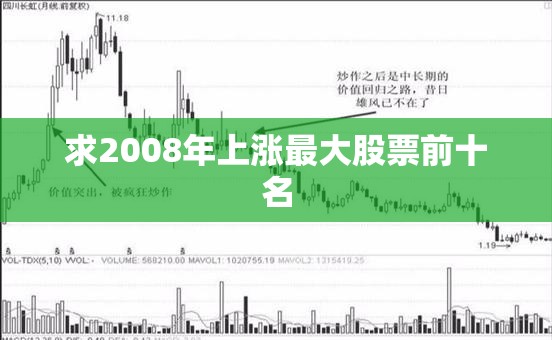 宁夏中卫旅游十大景点
