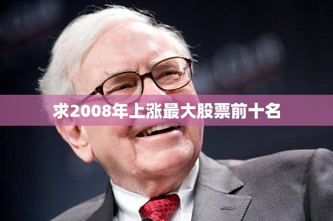求2008年上涨最大股票前十名