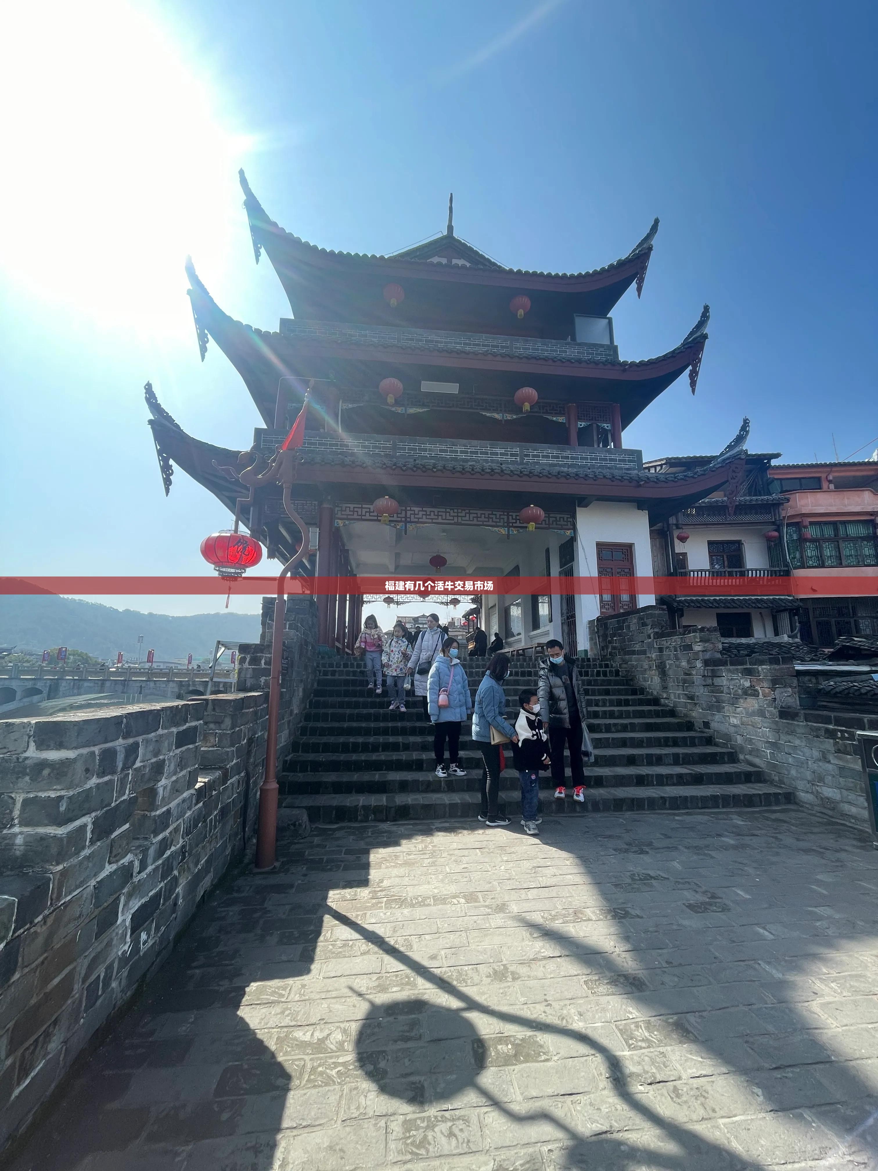 福建有几个活牛交易市场