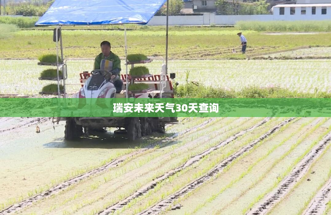 新能源车用车注意事项！