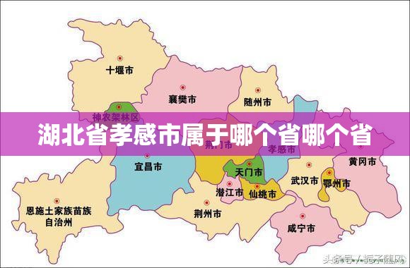 高尔基 《童年》第一章主要内容