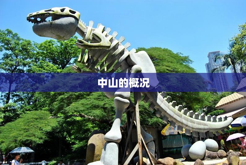 北京奔驰v260,北京奔驰v260l商务车报价七座