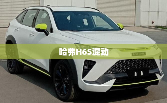 哈弗H6S混动