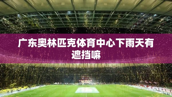 广东奥林匹克体育中心下雨天有遮挡嘛
