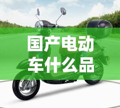 国产电动车什么品牌的比较好 国产电动车什么品牌的比较好