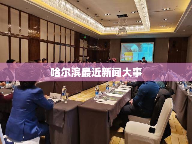 哈尔滨最近新闻大事