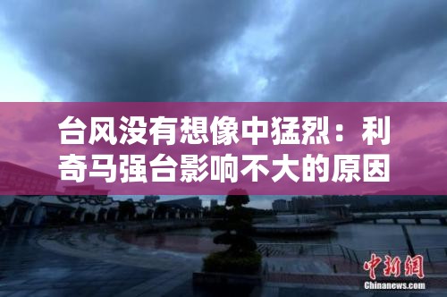 【申能股份,申能股份做什么的】