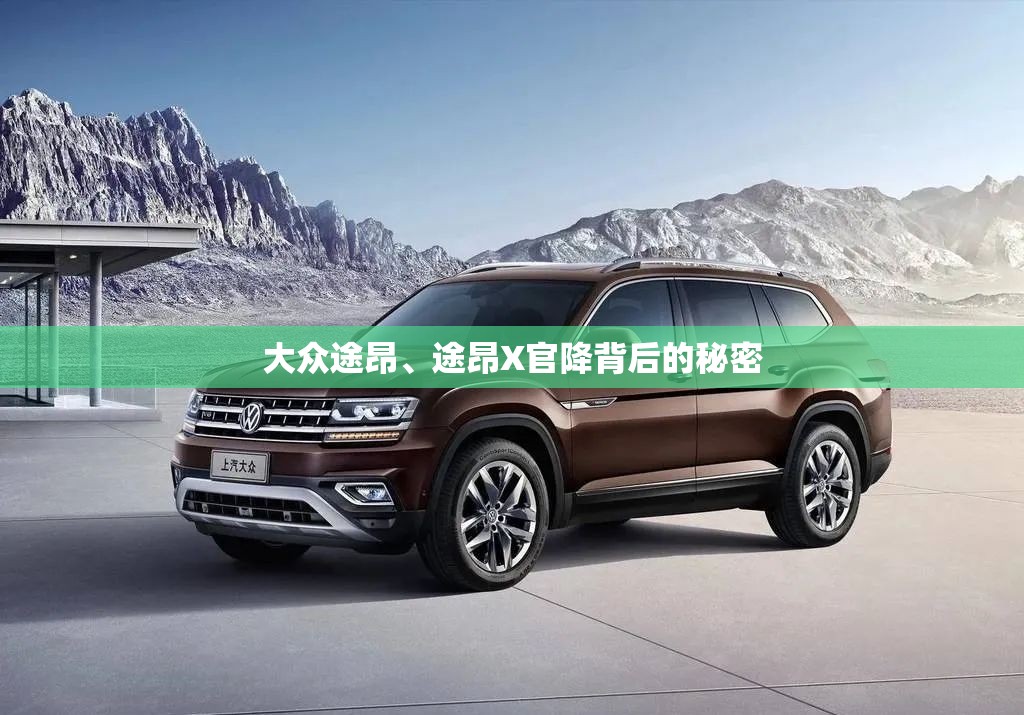 大众途昂	、途昂X官降背后的秘密